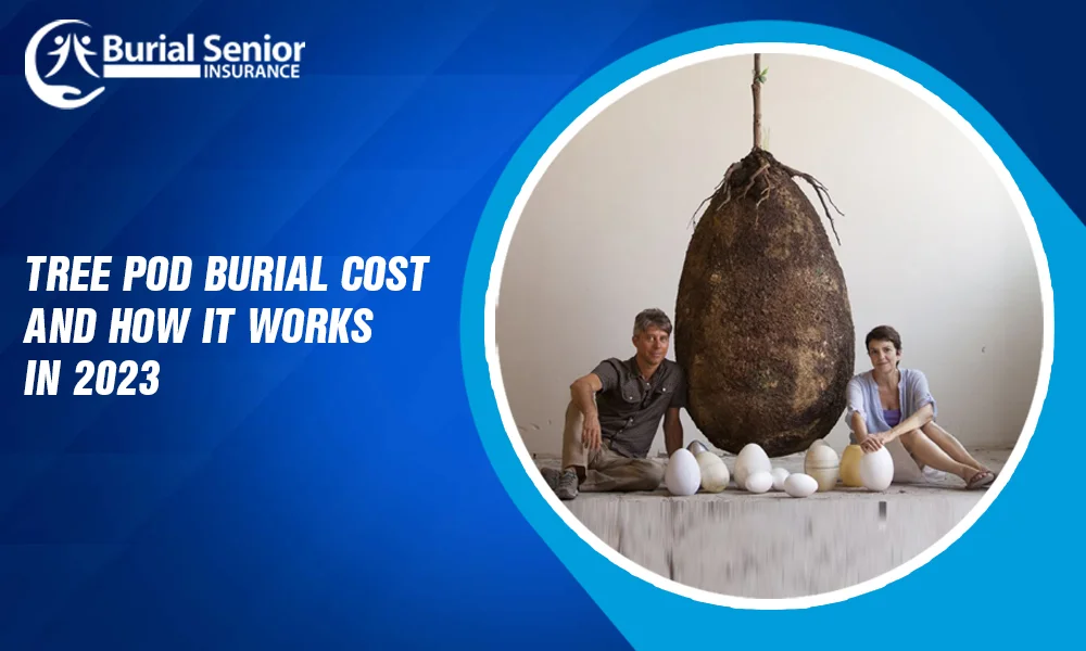 Tree Pod Burial Explained Cost And How It Works in 2023