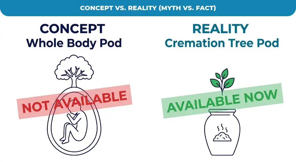 Concept-vs.-Reality