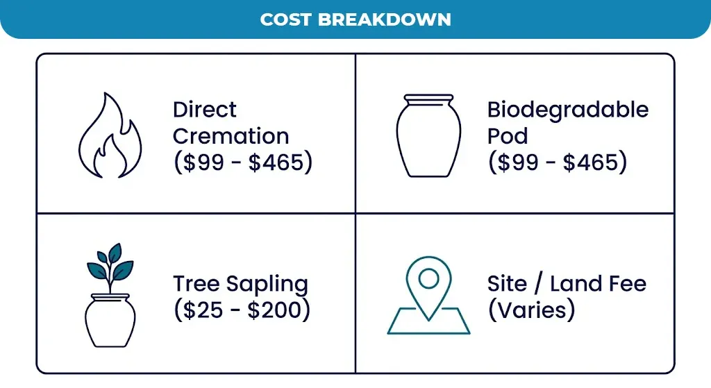 Cost-Breakdown