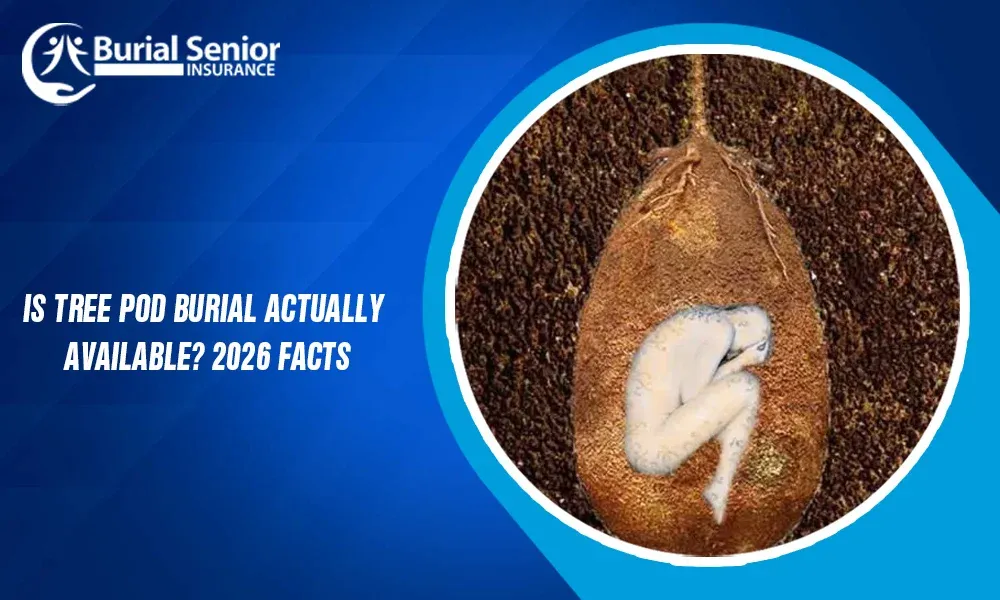 Is-Tree-Pod-Burial-Actually