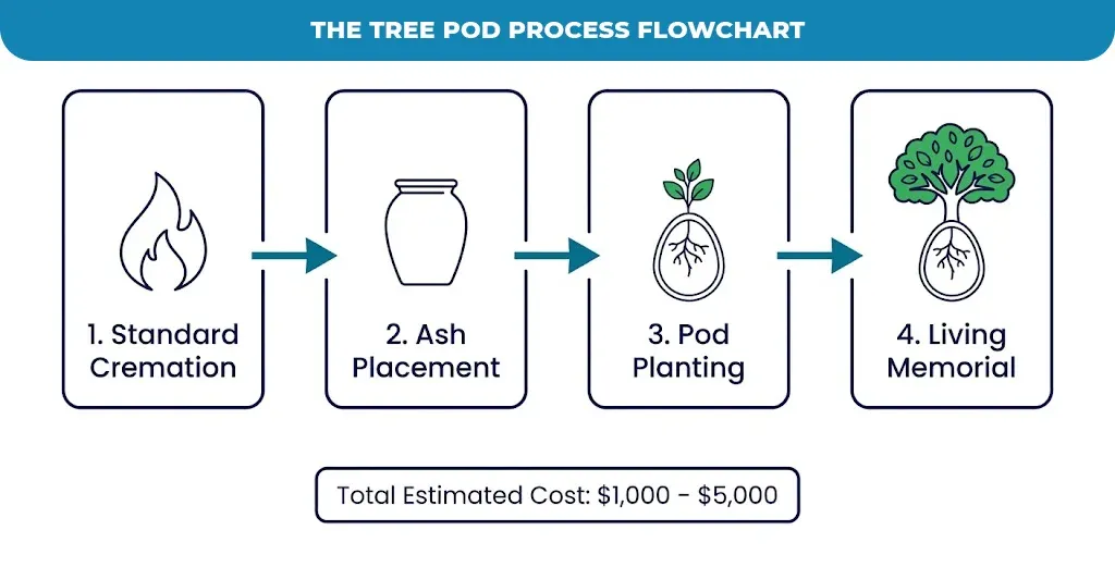 The-Tree-Pod-Process-Flowchart