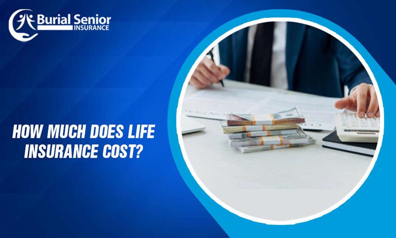 How Much Does Life Insurance Cost