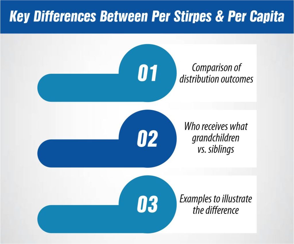 key differences between per stirpes and per capita