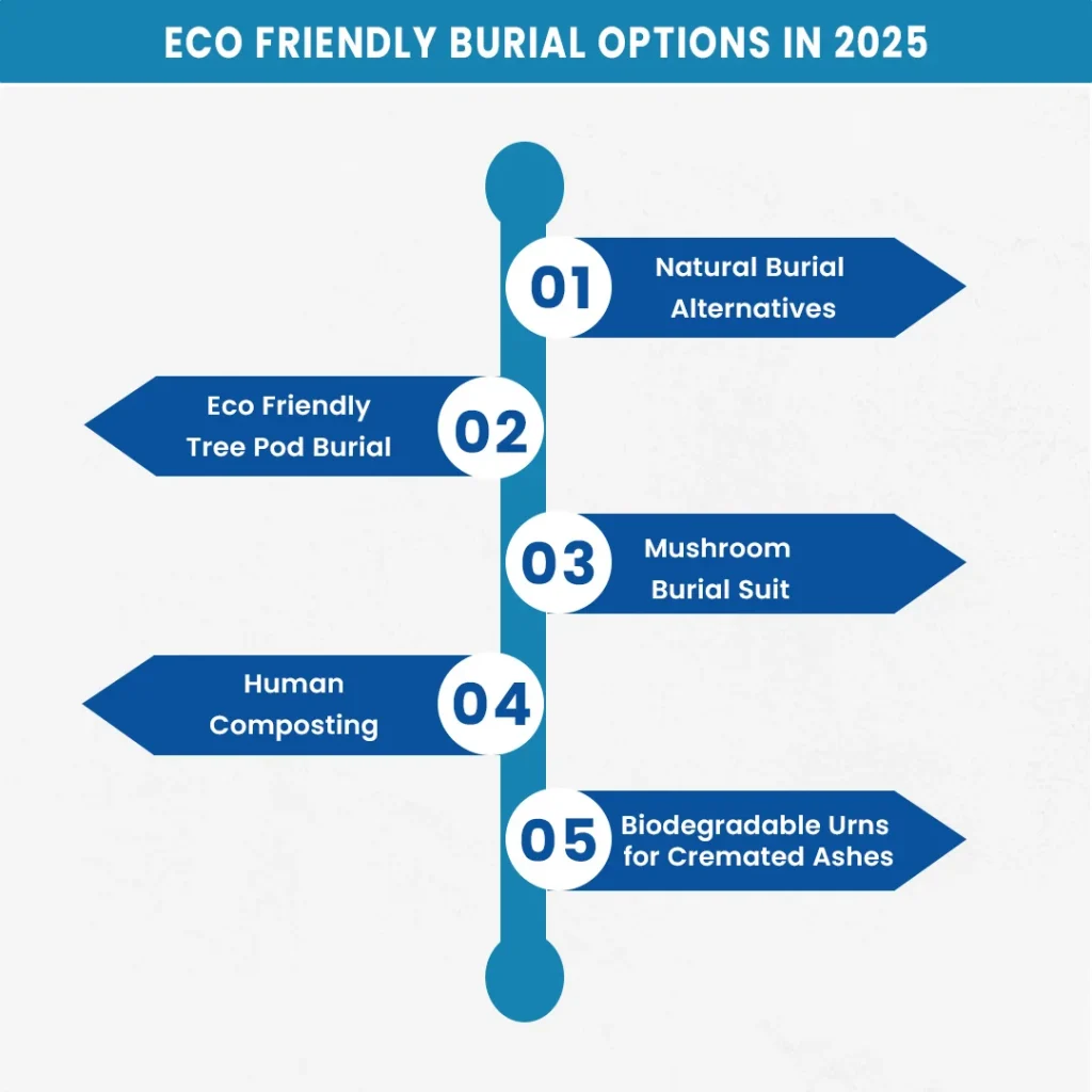 Eco Friendly Burial Options in 2025