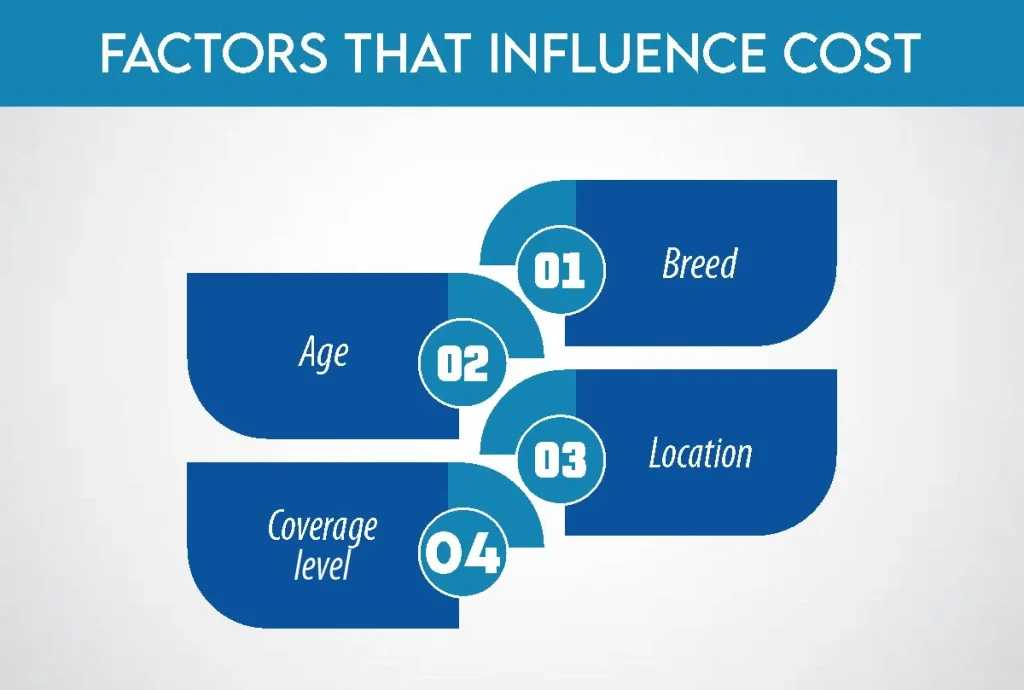 Factors That Influence Cost