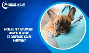 MetLife Pet Insurance Complete Guide to Coverage, Costs & Reviews
