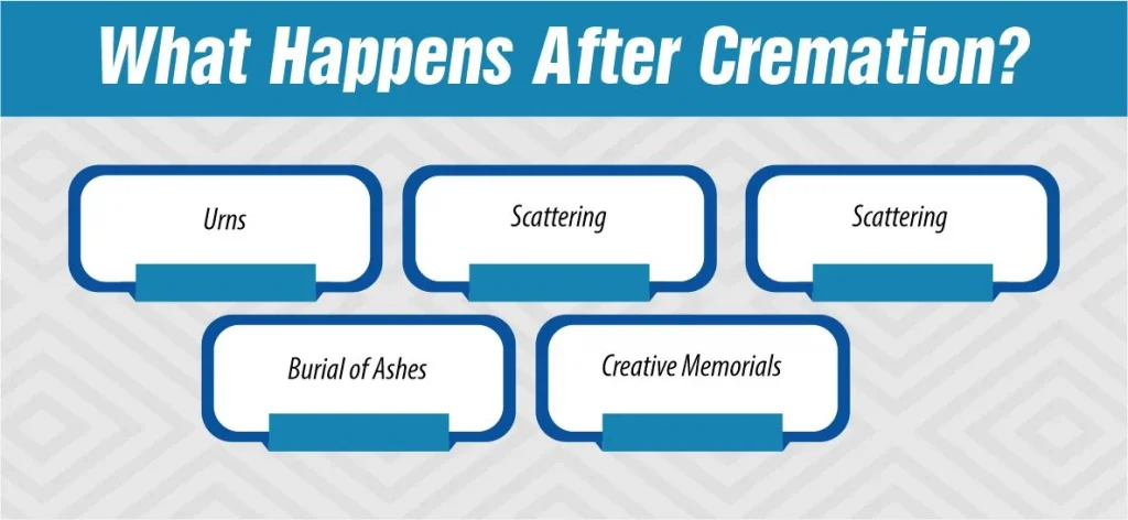 what happens after cremation