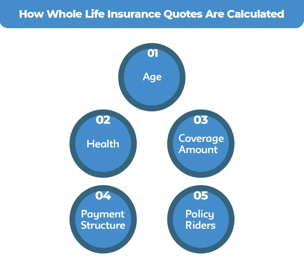 How-Whole-Life-Insurance-Quotes-Are-Calculated