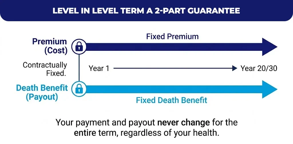level-in-level-term-a-2-part-guarantee