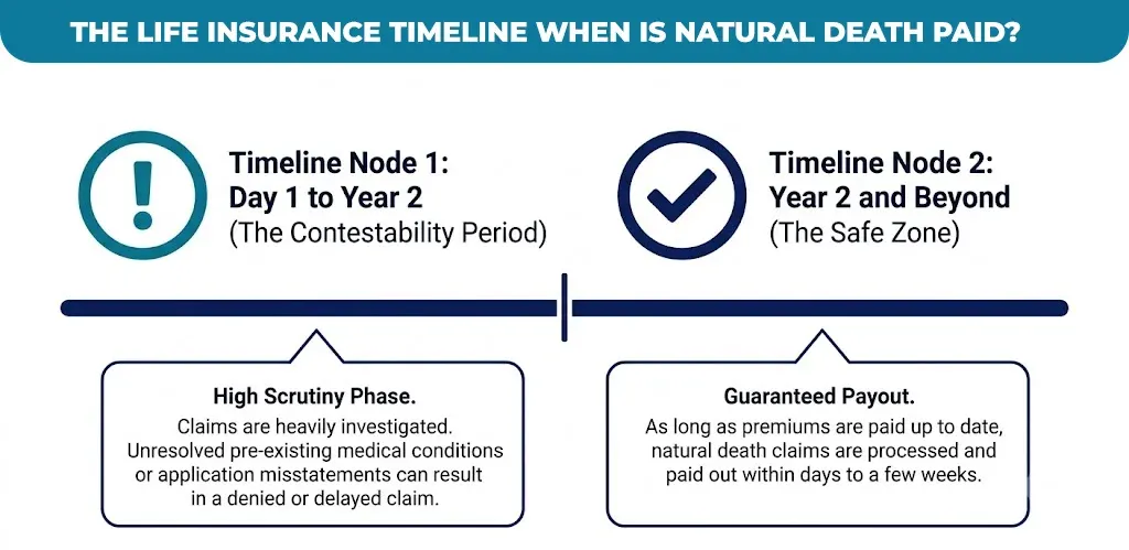 the-life-insurance-timeline-when-is-natural-death-paid