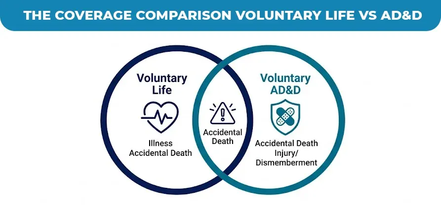 the-coverage-comparison-voluntary-life-vs-ad&d